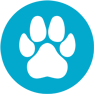 AffinityDNA Animal Icon Dog Genetic Age Test